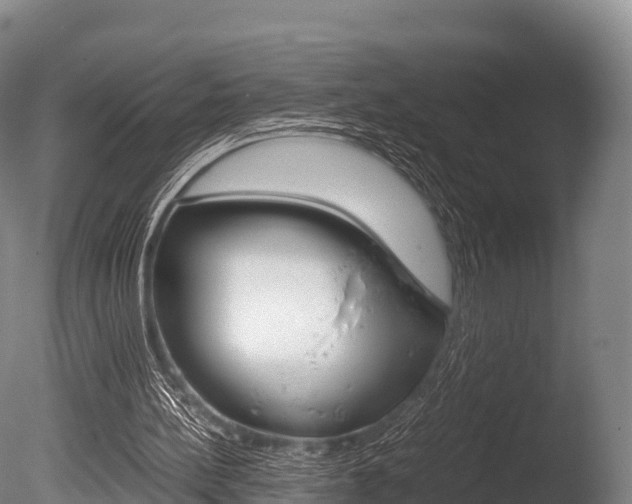 X0000086090148200703231125