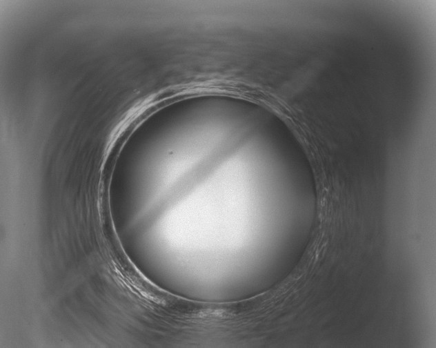 X0000086090152200703231125