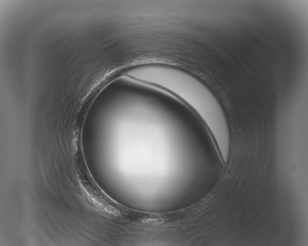 X0000086090160200703231125