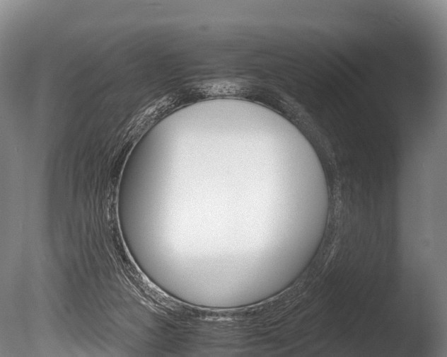X0000086090161200703231125