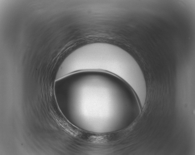 X0000086090170200703231126