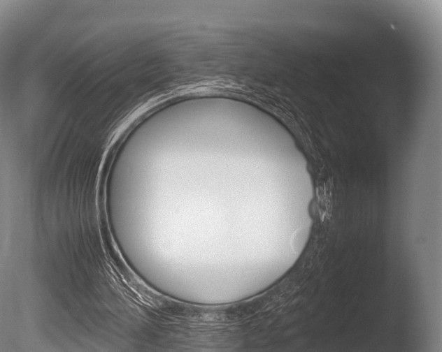 X0000086090196200703231125