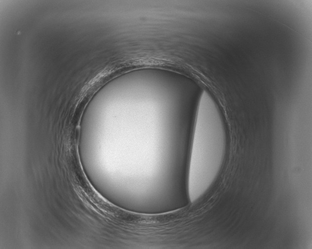 X0000086090203200703231125
