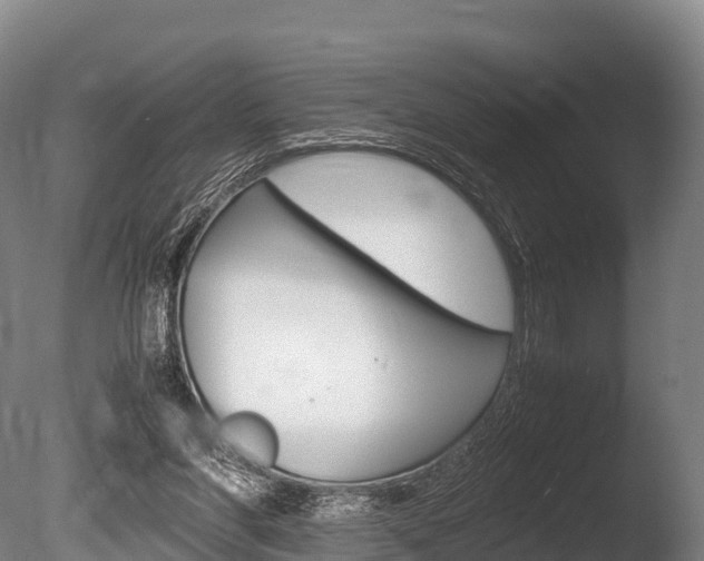 X0000086090206200703231125