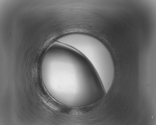 X0000086090207200703231125