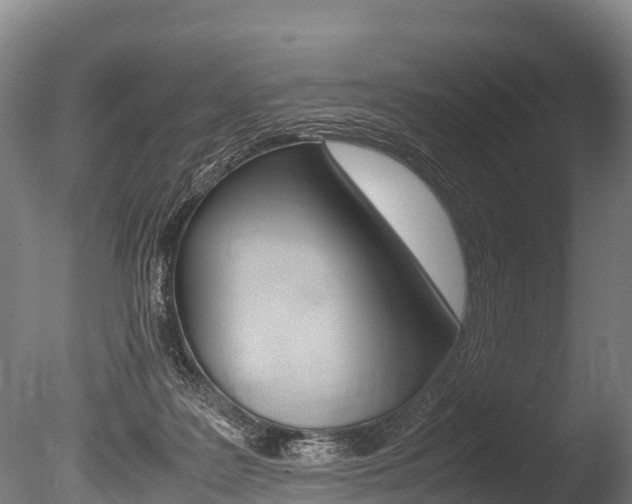 X0000086090219200703231125