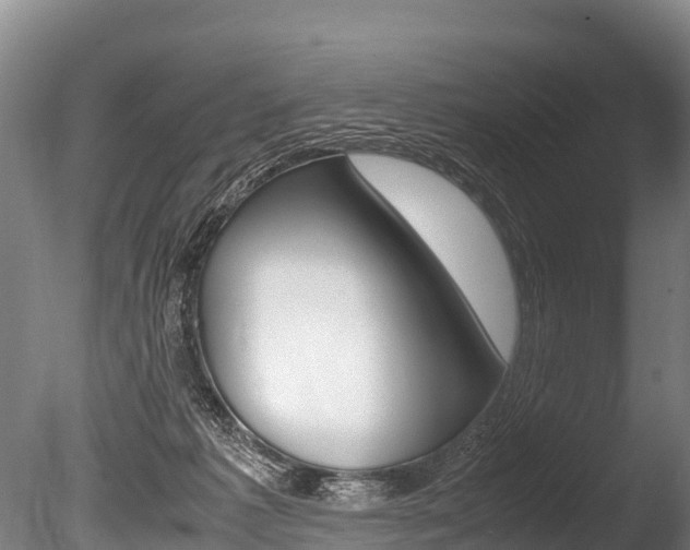 X0000086090221200703231125