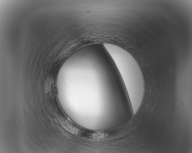 X0000086090225200703231125