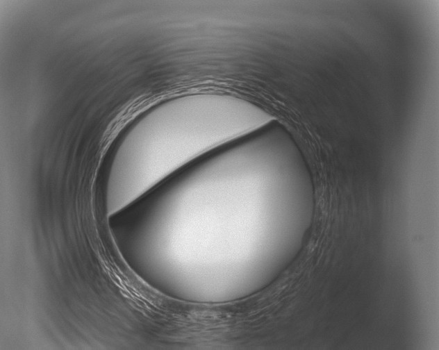 X0000086090242200703231124