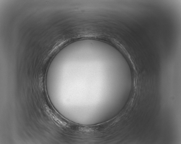 X0000086090249200703231124