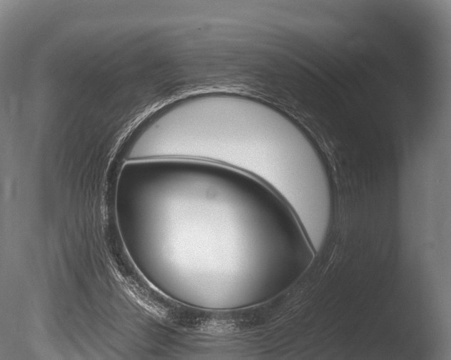 X0000086090252200703231124