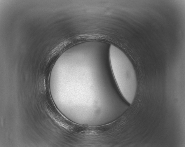 X0000086090254200703231124