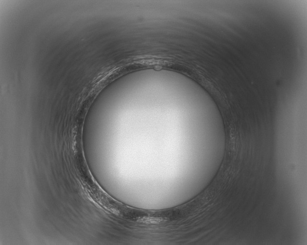X0000086090255200703231124