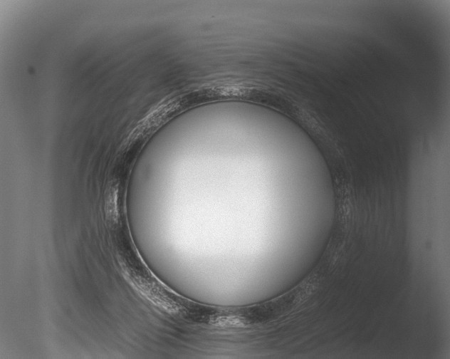X0000086090262200703231124