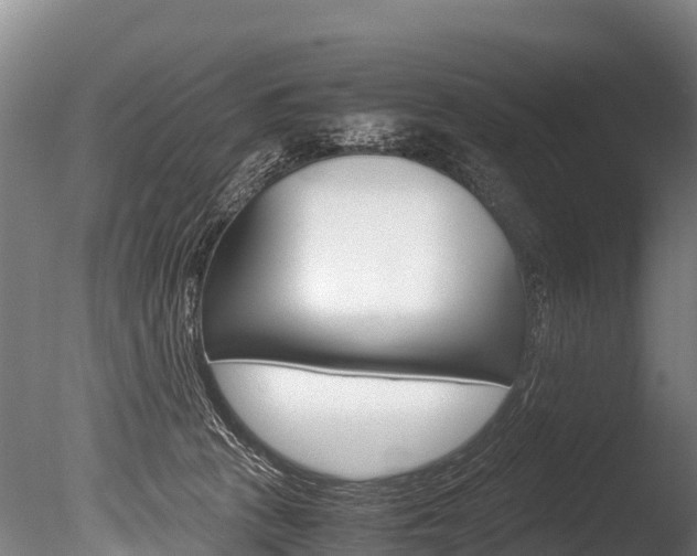 X0000086090273200703231124