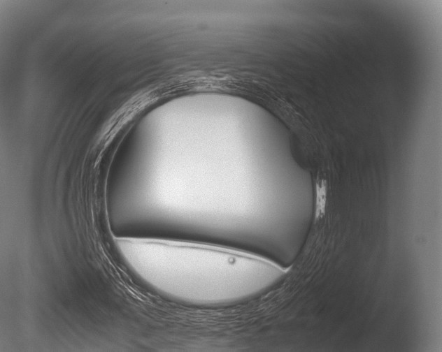 X0000086090291200703231123
