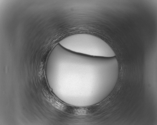 X0000086090318200703231123