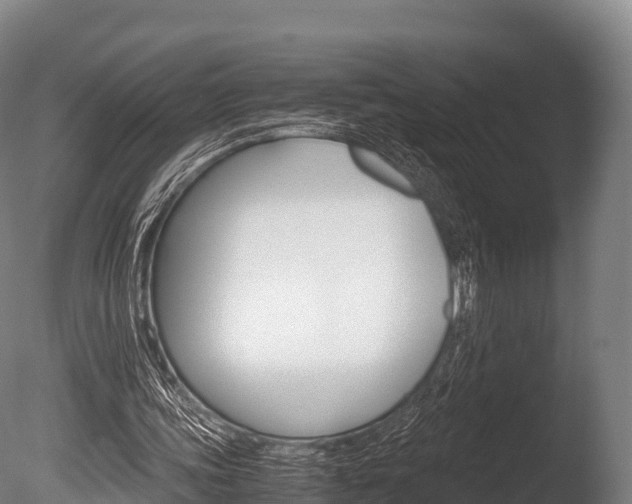 X0000086090339200703231122