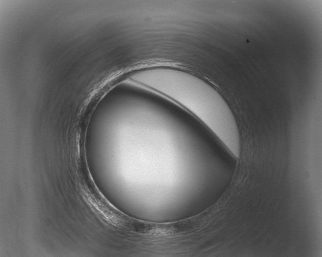 X0000086090350200703231122