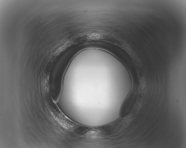 X0000086090364200703231122