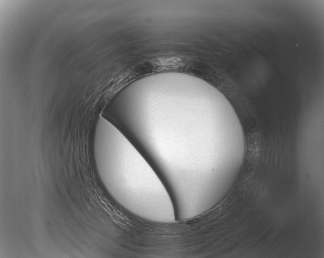 X0000086090369200703231122