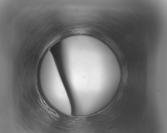 X0000086090386200703231122