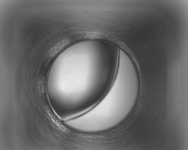 X0000086090393200703231122
