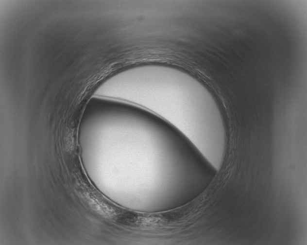 X0000086090401200703231122