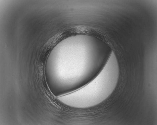 X0000086090413200703231121