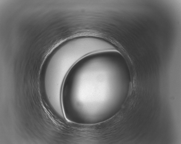 X0000086090436200703231120
