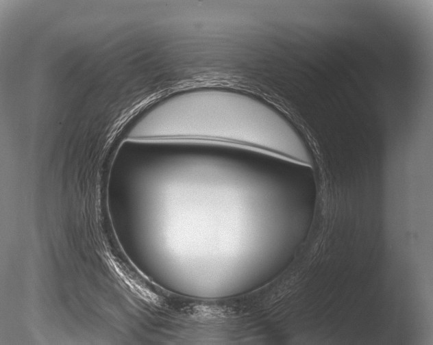 X0000086090442200703231120