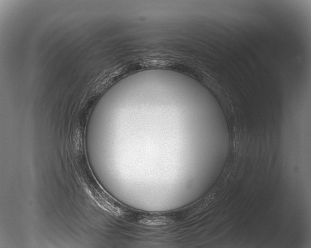 X0000086090459200703231121
