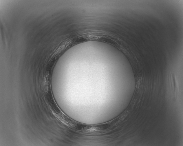 X0000086090460200703231121