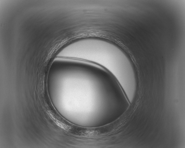 X0000086090493200703231120