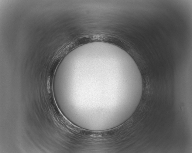 X0000086090502200703231120