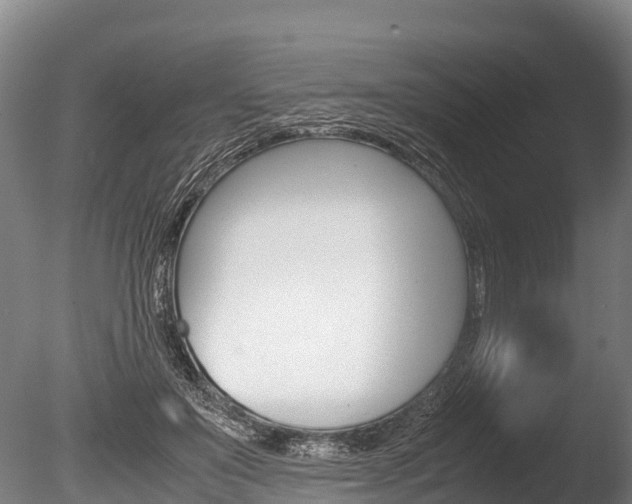 X0000086090503200703231120
