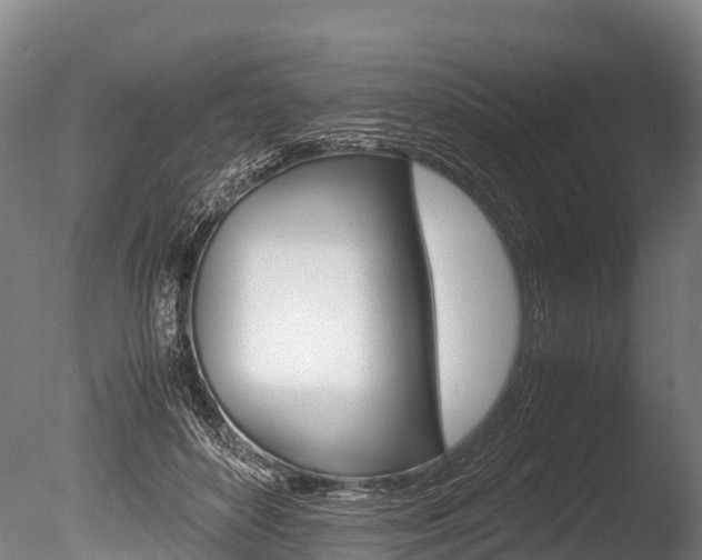 X0000086090504200703231120
