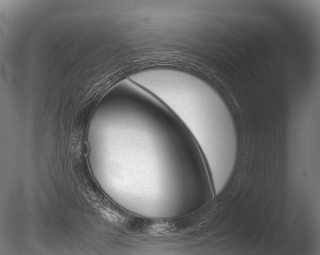 X0000086090505200703231120