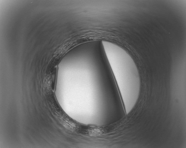 X0000086090513200703231120