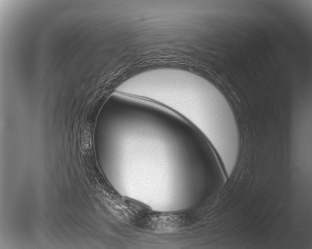X0000086090517200703231120