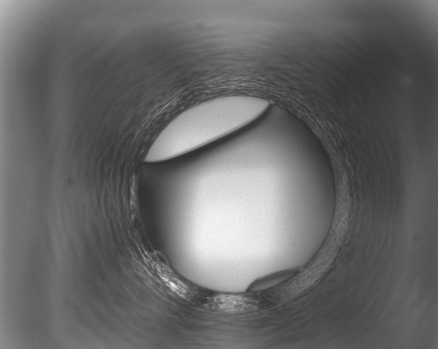X0000086090528200703231119