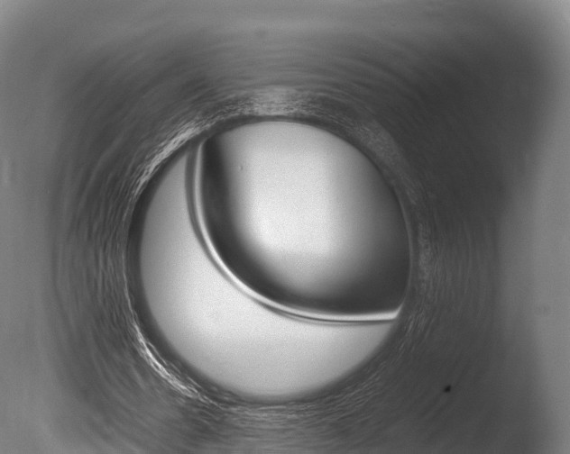 X0000086090530200703231119