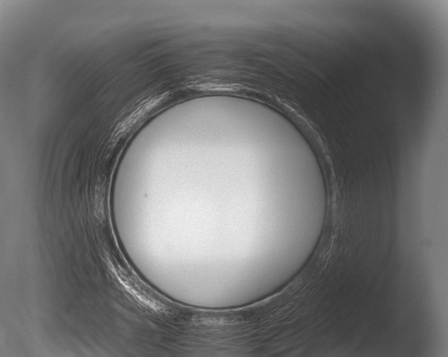 X0000086090533200703231119