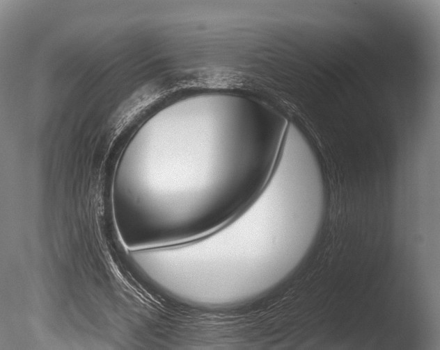 X0000086090536200703231119