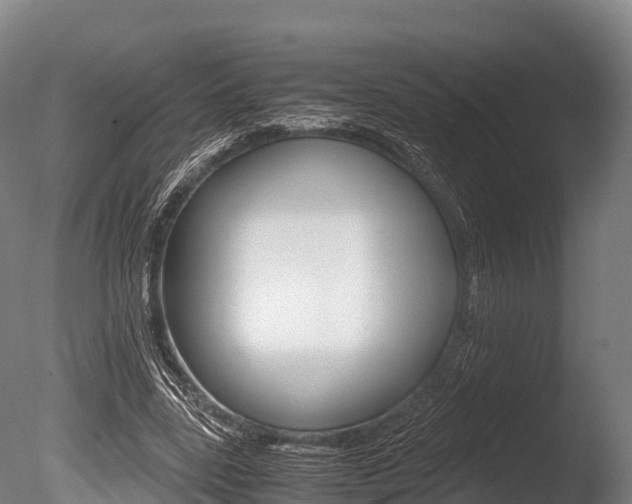 X0000086090539200703231119