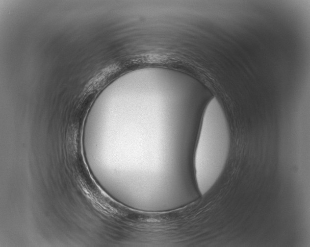 X0000086090542200703231119