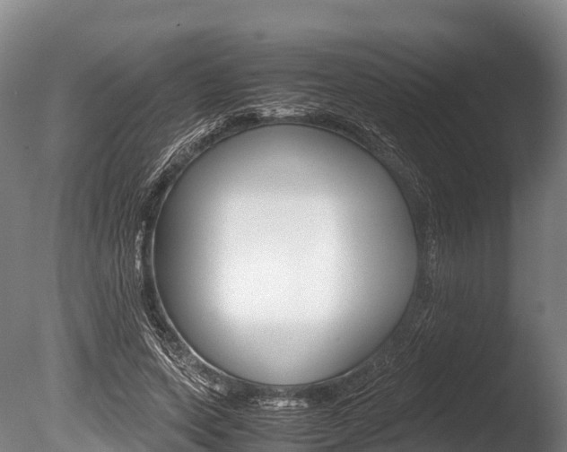 X0000086090543200703231119