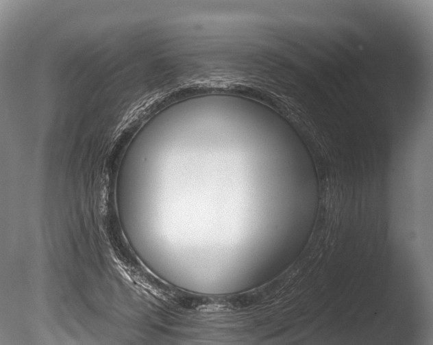 X0000086090544200703231119