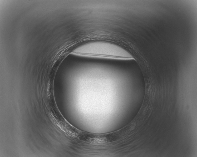 X0000086090548200703231119