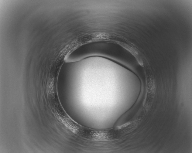 X0000086090560200703231119